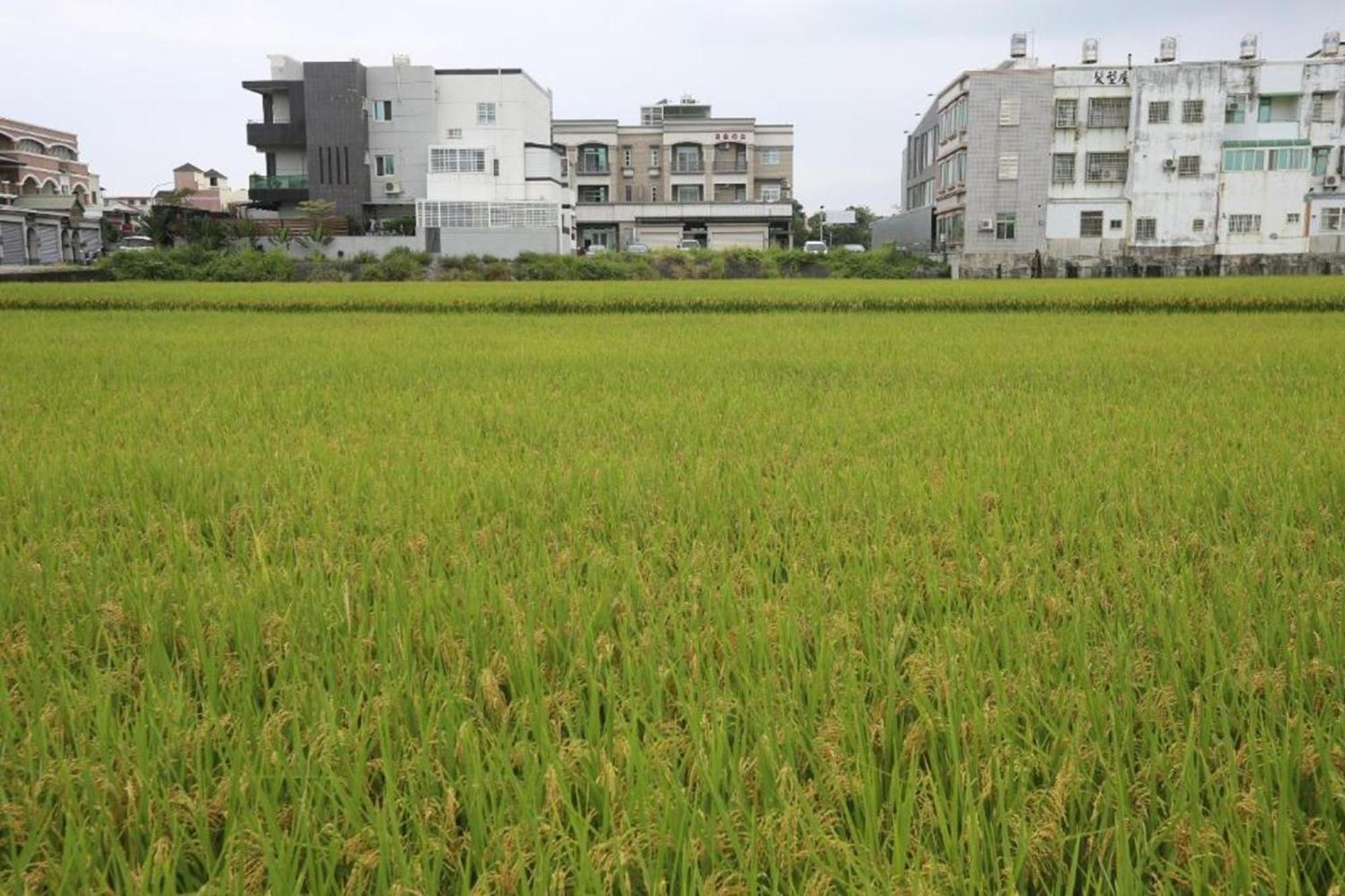 مبيت وإفطار تايتونج فريهوم Taitung المظهر الخارجي الصورة